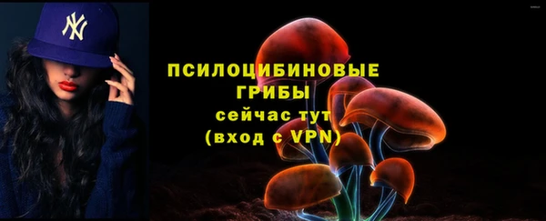 прущий лед Белокуриха