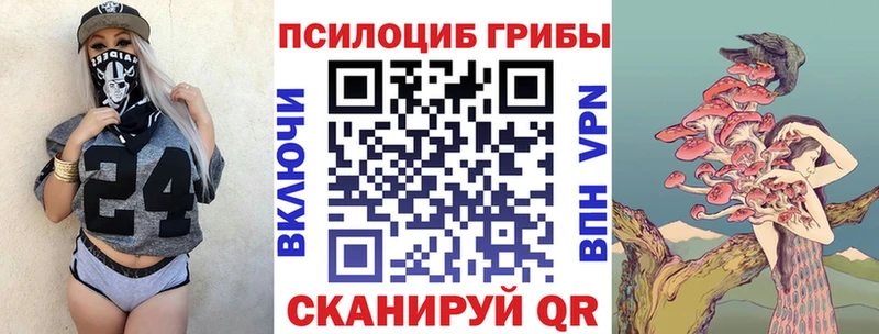 Галлюциногенные грибы Psilocybe  закладки  Обь 